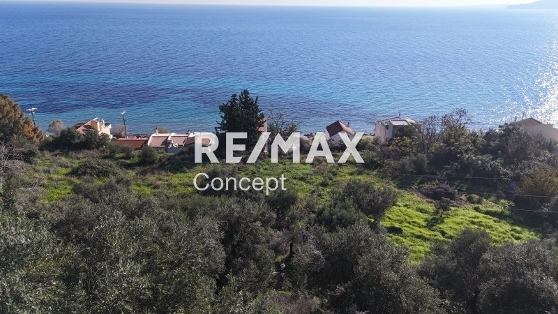 Land in Municipal Commune of Zakynthos, Peloponnese, Western Greece and the Ionian, Greece 2 - 17378492