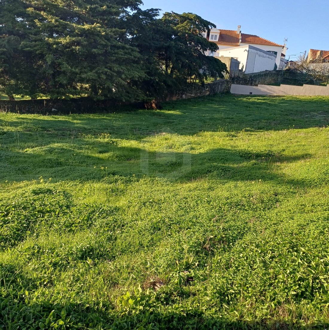 Land in Azeitao (Sao Lourenco e Sao Simao), Setubal, Portugal 2 - 17377371