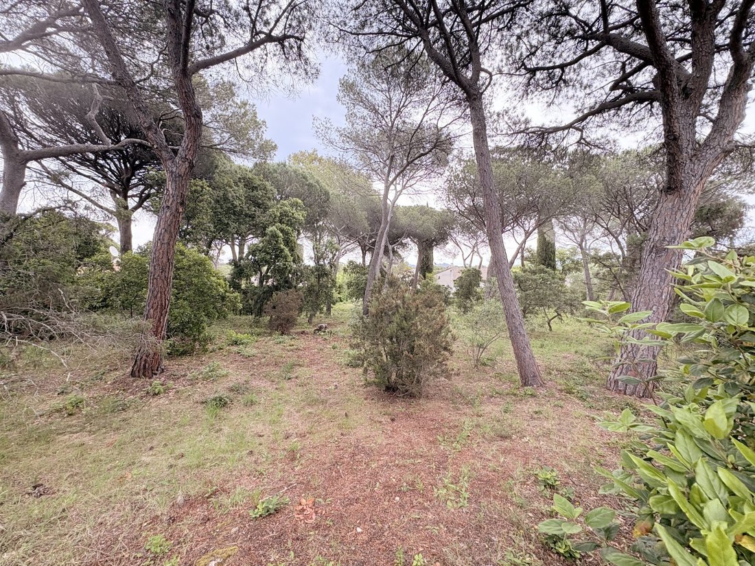 Terrain à Le Dramont-Agay-Anthéor-Le Trayas, Saint-Raphaël, France 1 - 17378064