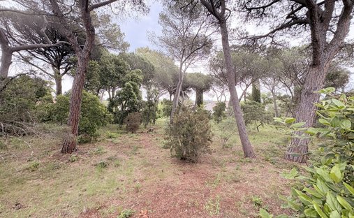 Land in Le Dramont-Agay-Anthéor-Le Trayas, Saint-Raphaël, France 1