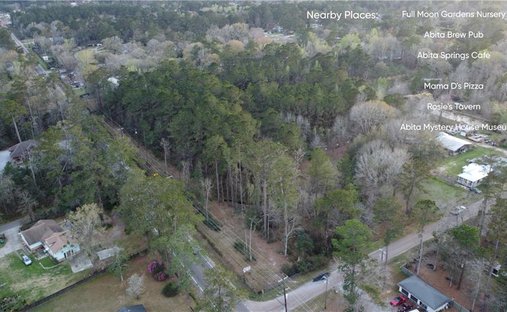 Land in Abita Springs, Louisiana, United States 1