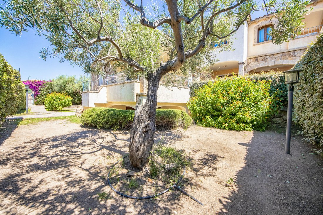 House in Olbia, Sardinia, Italy 4 - 17377516