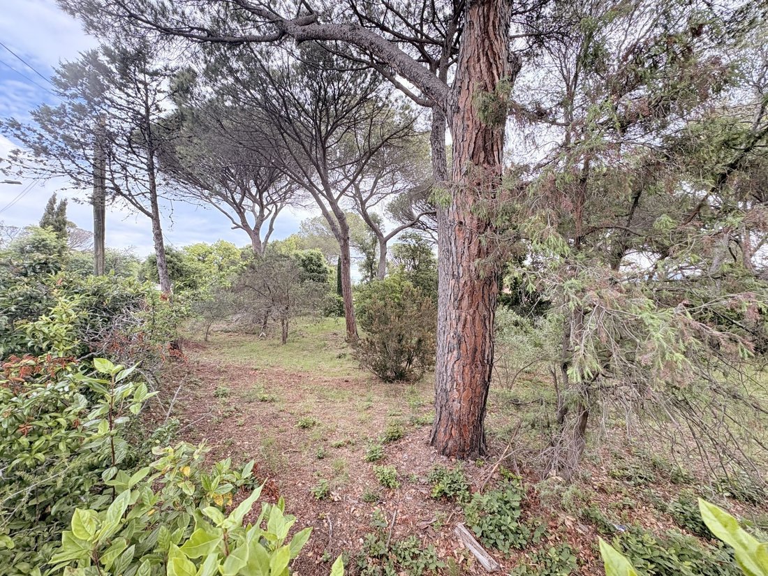 Terrain à Le Dramont-Agay-Anthéor-Le Trayas, Saint-Raphaël, France 2 - 17378064