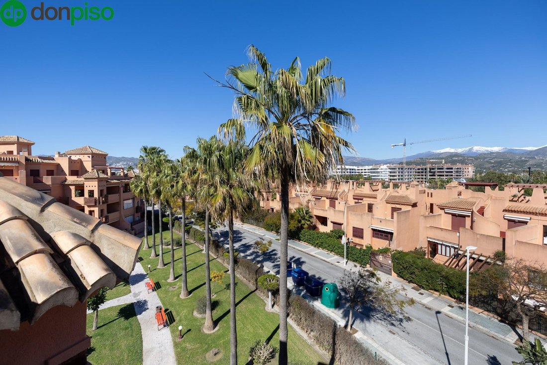 Apartment in Motril, Andalusia, Spain 4 - 17377163