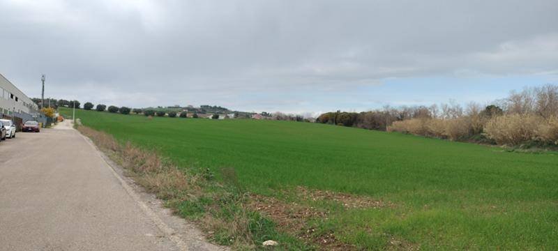 Land in Spoltore, Abruzzo, Italy 1 - 17377730