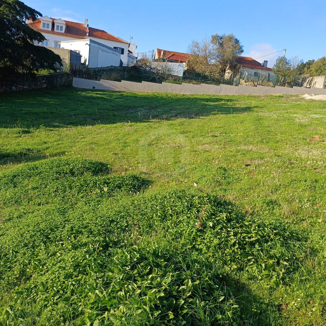 Land in Azeitao (Sao Lourenco e Sao Simao), Setubal, Portugal 5 - 17377371