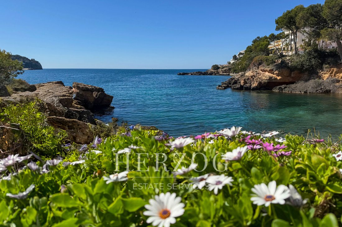 House in Costa de la Calma, Calvia, Balearic Islands 3 - 16256624