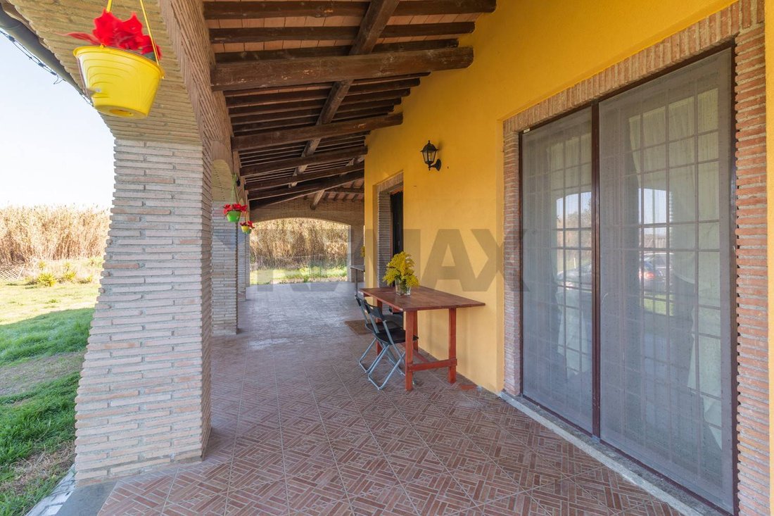Villa in Montalto di Castro, Lazio, Italy 5 - 17377746