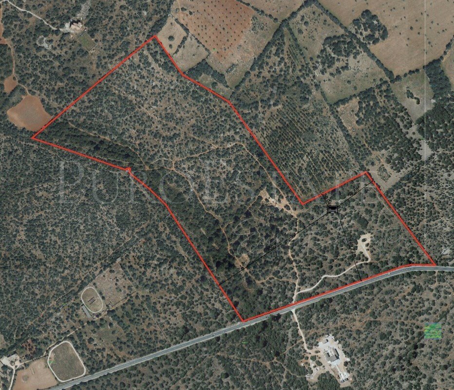 Land in Llucmajor, Balearic Islands, Spain 1 - 17377378