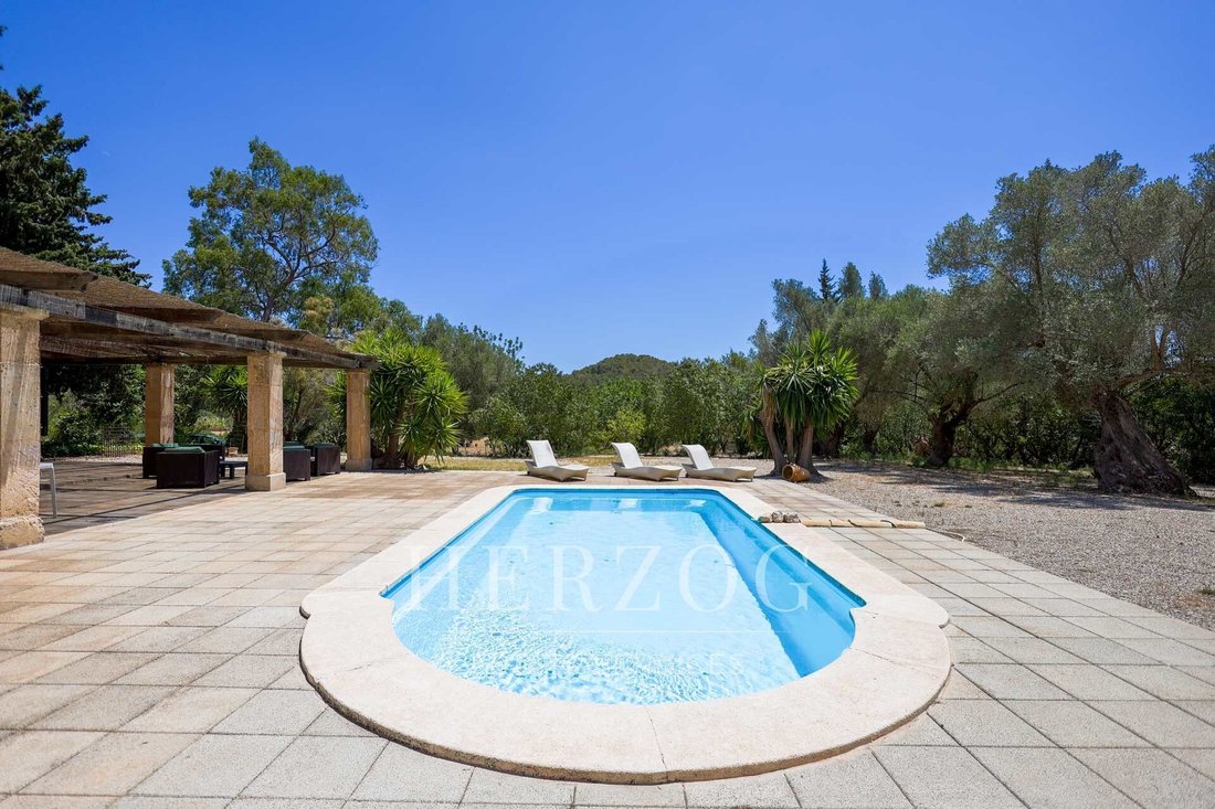Finca in Cala Fornells, Calvia, Balearic Islands 5 - 17376560