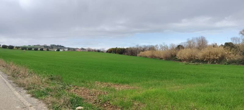 Land in Spoltore, Abruzzo, Italy 4 - 17377730
