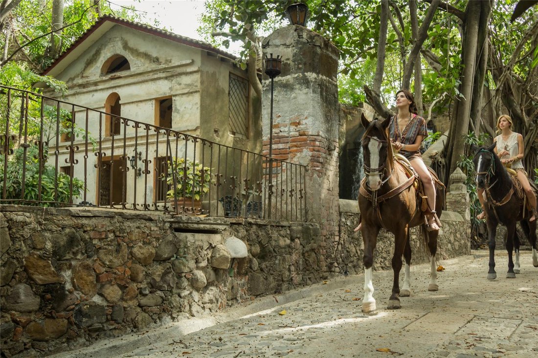 House in Leonardo Bravo, Mexico 4 - 17376933