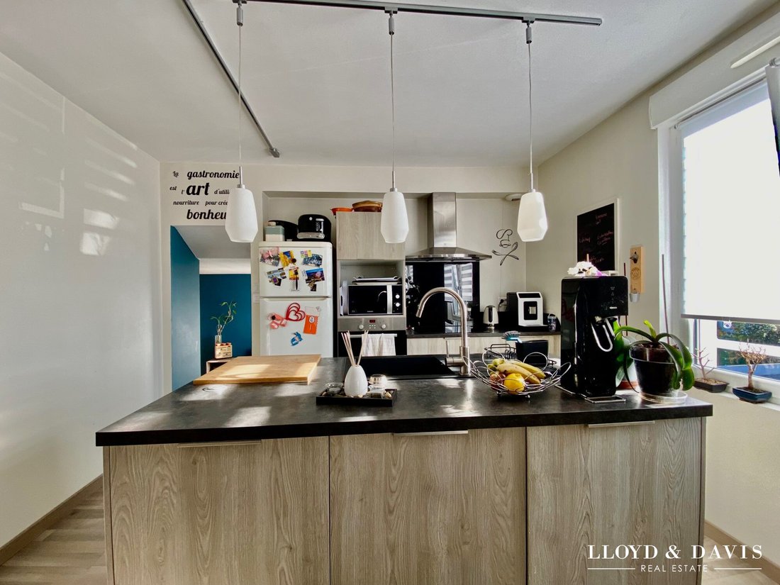 House in Est, Thouare-sur-Loire, France 4 - 17378008