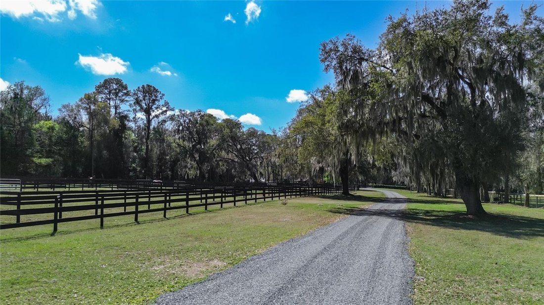 Land in Reddick, Florida, United States 5 - 17376254