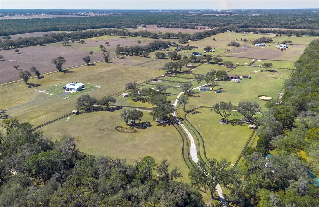 Farm Ranch in Morriston, Florida, United States 2 - 17376424