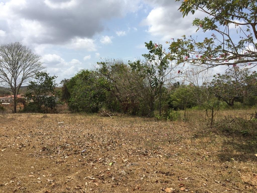Land in Río Congo, Provincia de Panamá Oeste, Panama 4 - 17378635