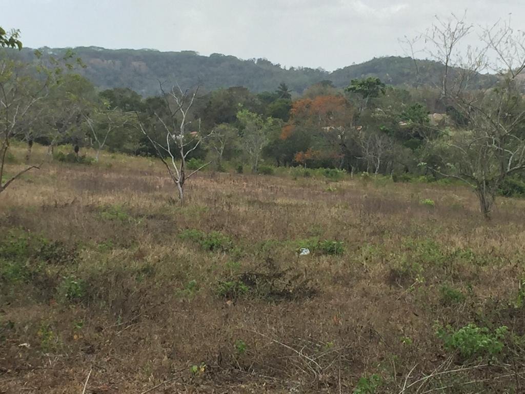 Land in Río Congo, Provincia de Panamá Oeste, Panama 3 - 17378635