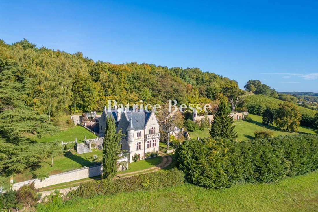 Castle in La Chartre-sur-le-Loir, Pays de la Loire, France 1 - 17376051