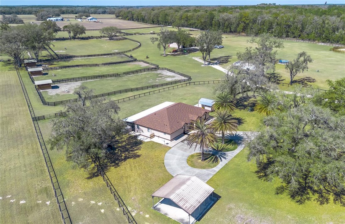 Farm Ranch in Morriston, Florida, United States 1 - 17376424