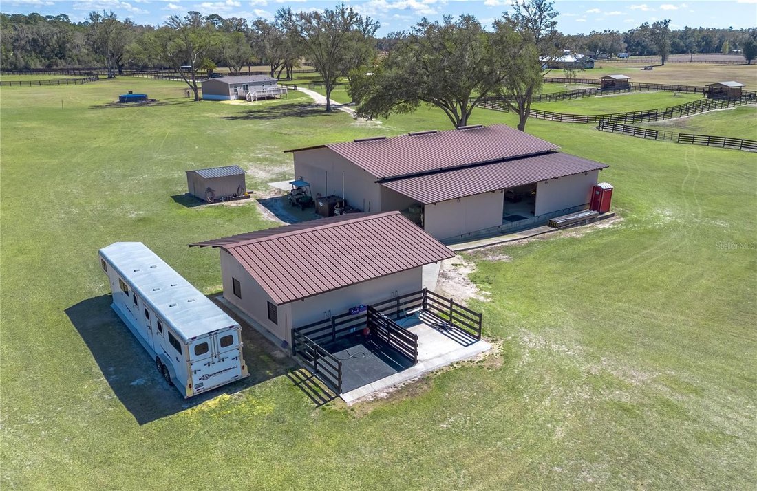 Farm Ranch in Morriston, Florida, United States 4 - 17376424