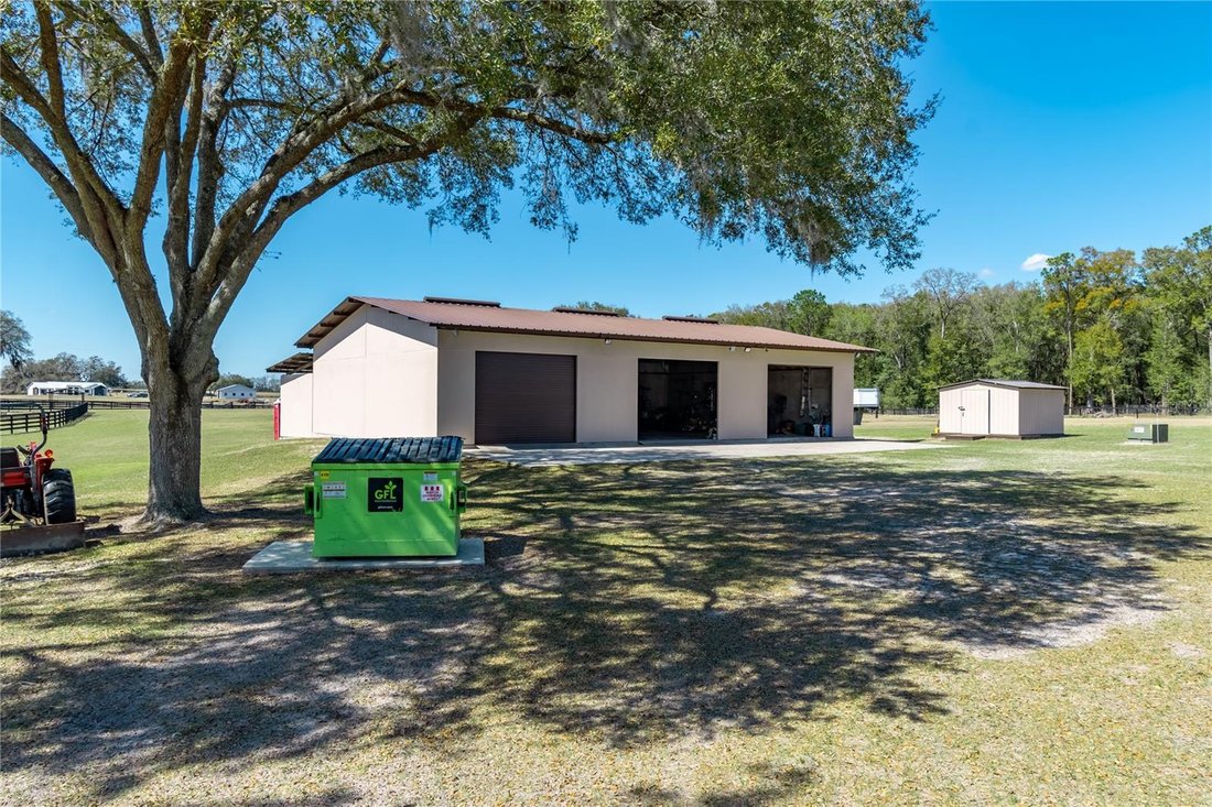 Farm Ranch in Morriston, Florida, United States 5 - 17376424