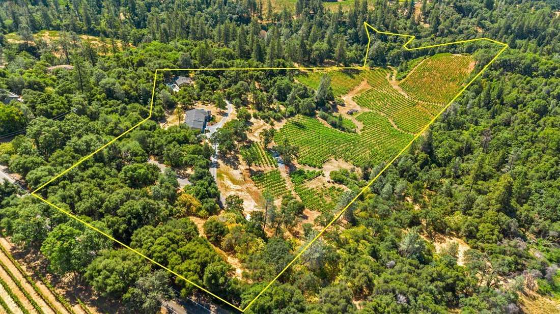 Placerville, California, United States 1 - 17377591