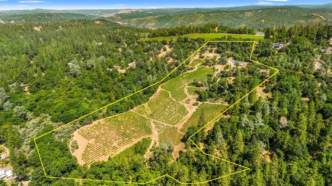 Placerville, California, United States 5 - 17377591