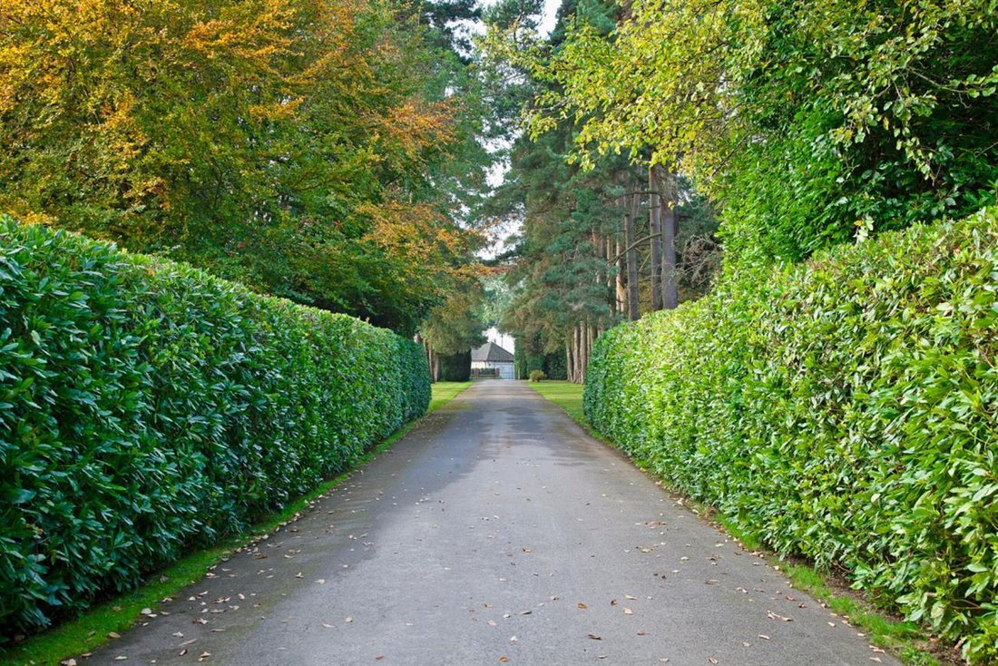 House in Holmer Green, Little Missenden, England 5 - 17375441