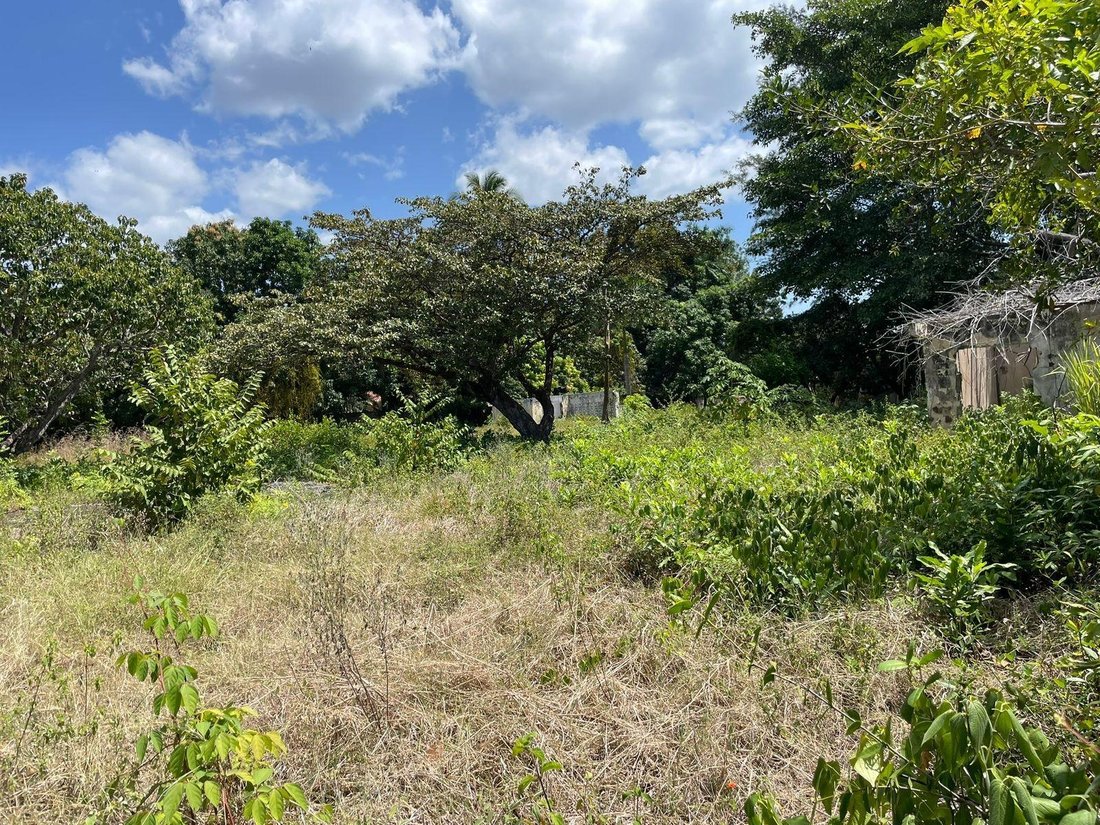 Land in Rio Hato, Coclé Province, Panama 4 - 17378638