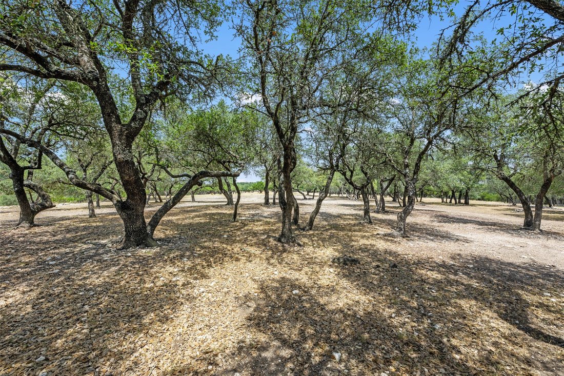 Farm Ranch in Dripping Springs, Texas, United States 2 - 17374787