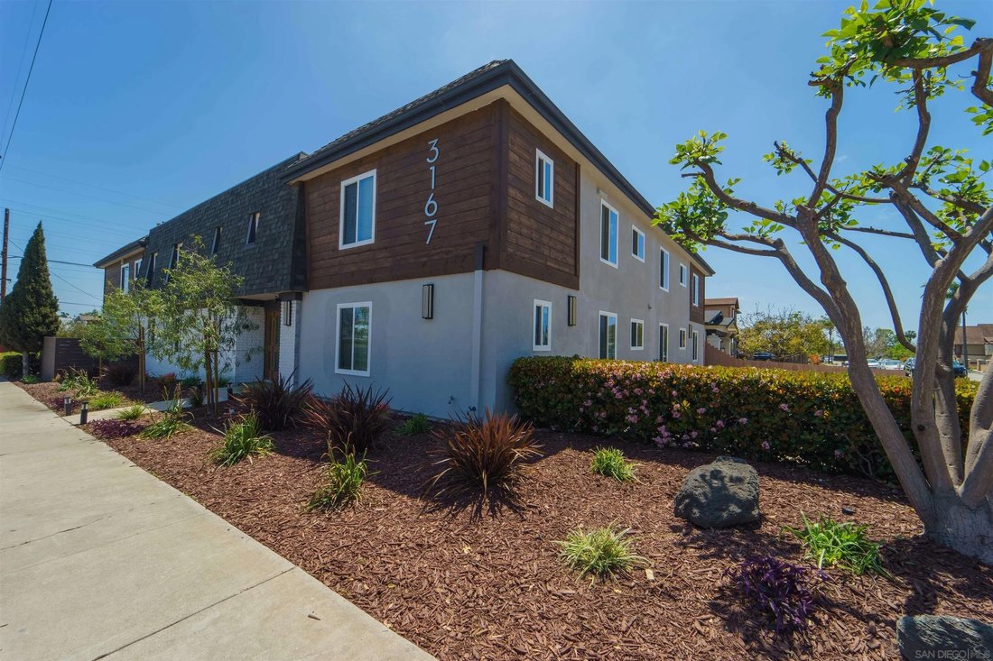 San Diego, California, United States 1 - 17376221