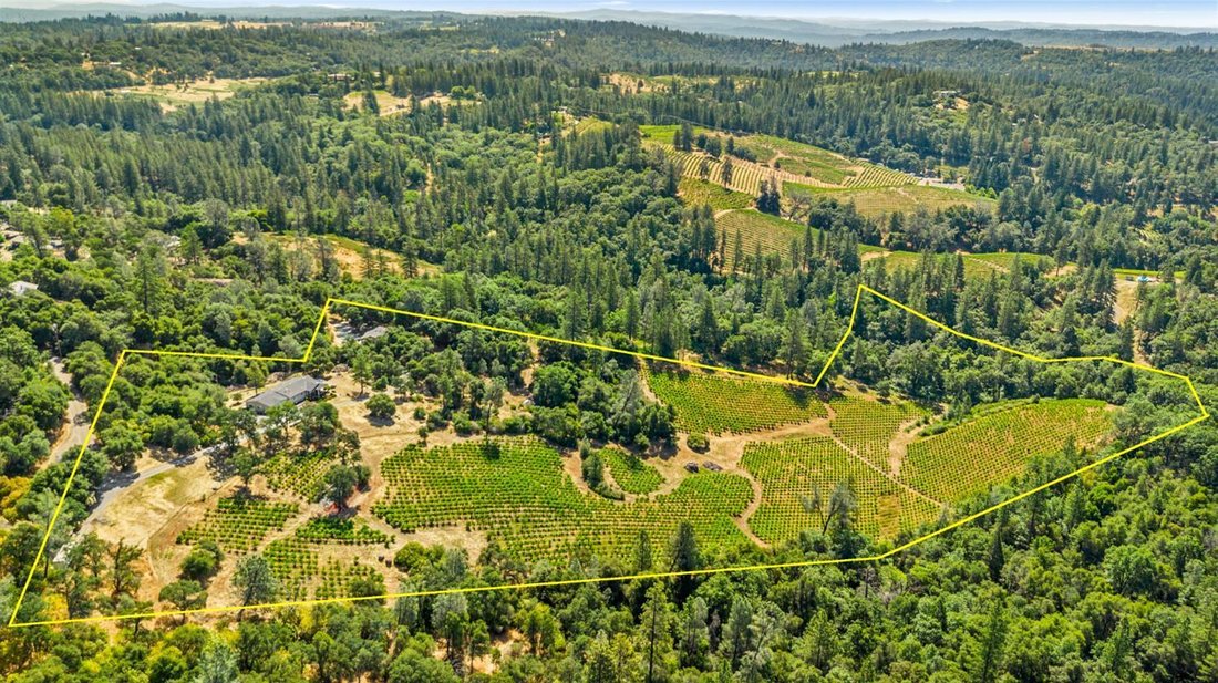 Placerville, California, United States 3 - 17377591