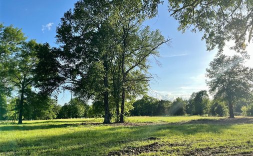 Land in Eustace, Texas, United States 1