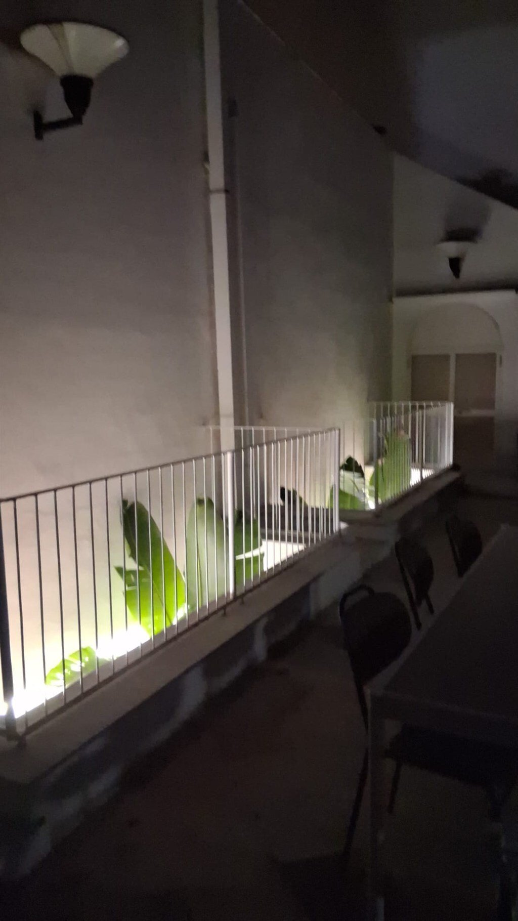 Villa in Carrassi - San Pasquale, Bari, Apulia 3 - 17378803