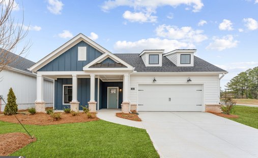 House in Canton, Georgia, United States 1