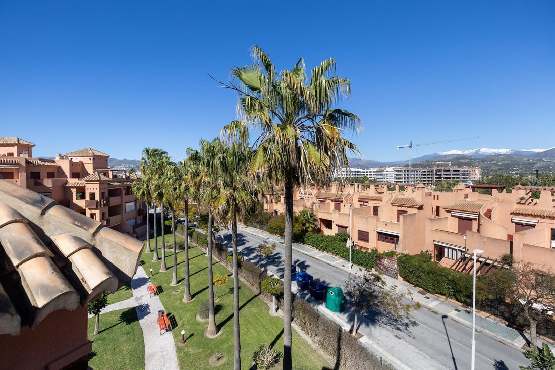 Apartment in Motril, Andalusia, Spain 4 - 17377183