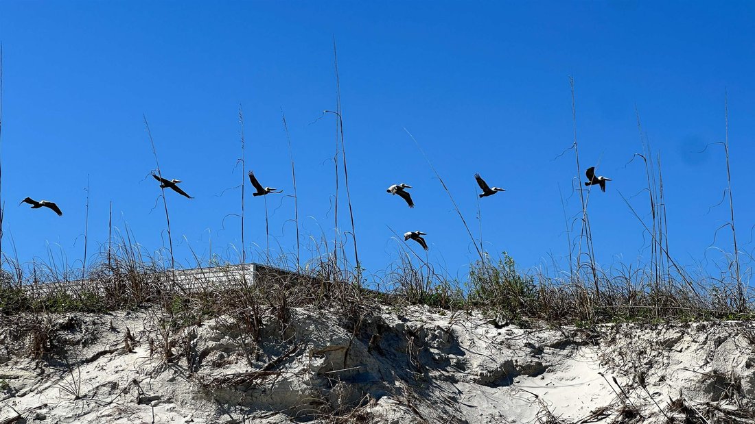 Land in St. Augustine, Florida, United States 5 - 17376859