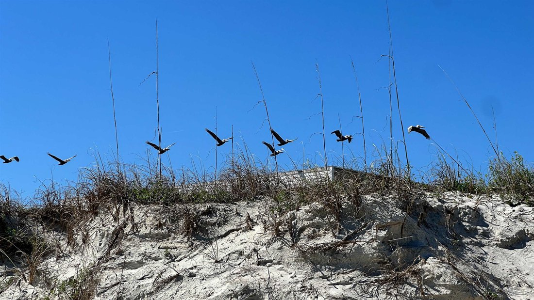 Land in St. Augustine, Florida, United States 4 - 17376859