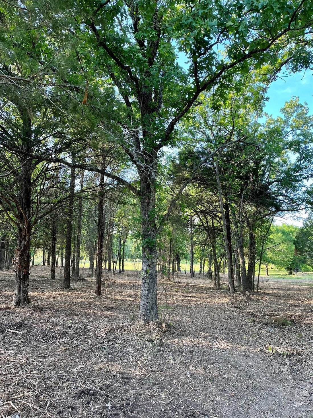 Land in Eustace, Texas, United States 3 - 17376386