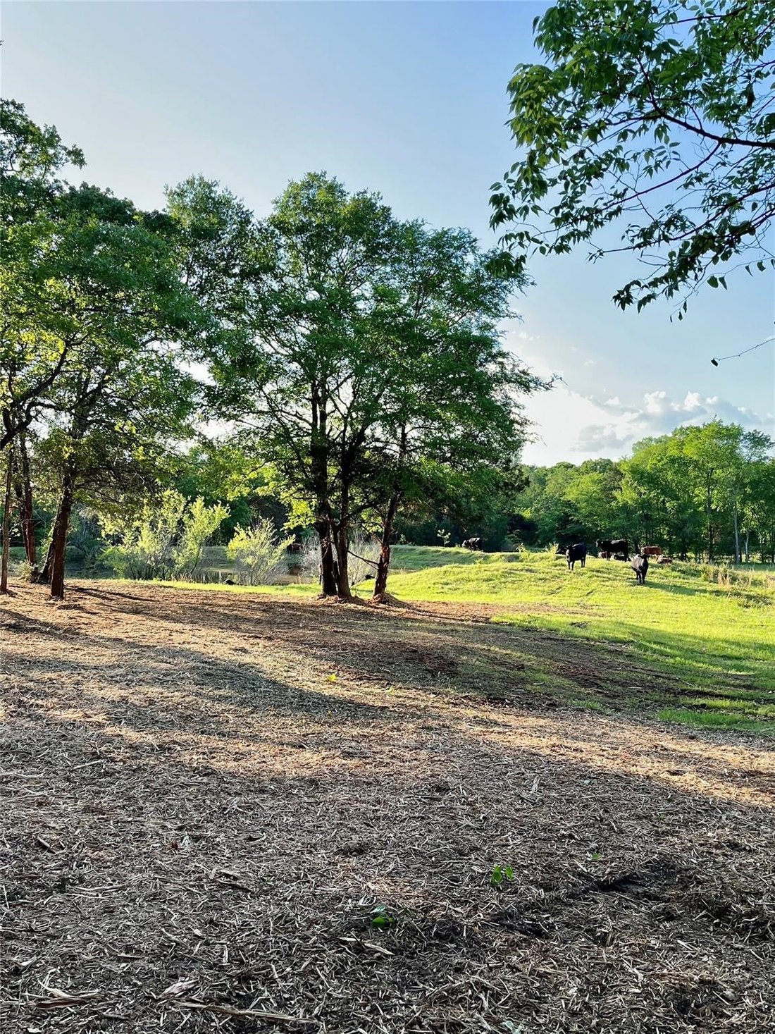 Land in Eustace, Texas, United States 5 - 17376386