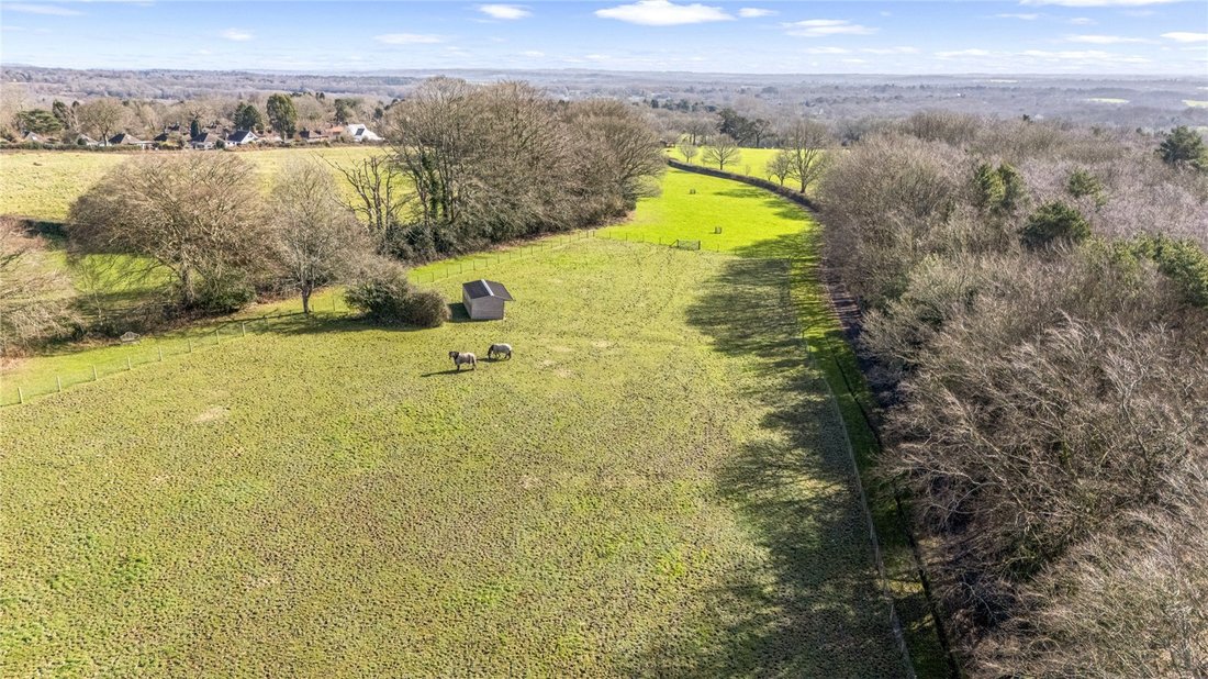 House in Maresfield, England 3 - 17376856