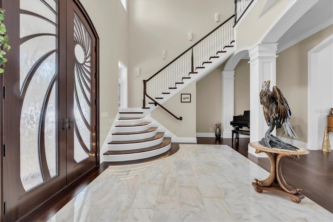 House in Palm Harbor, Florida, United States 5 - 17378513