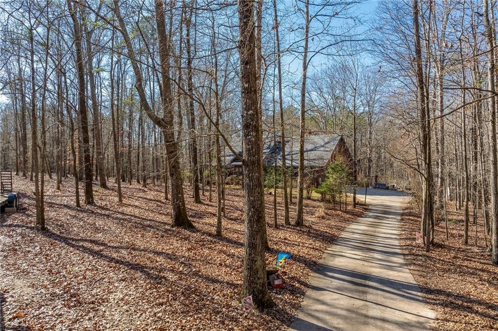 House in Athens, Georgia, United States 5 - 17375863