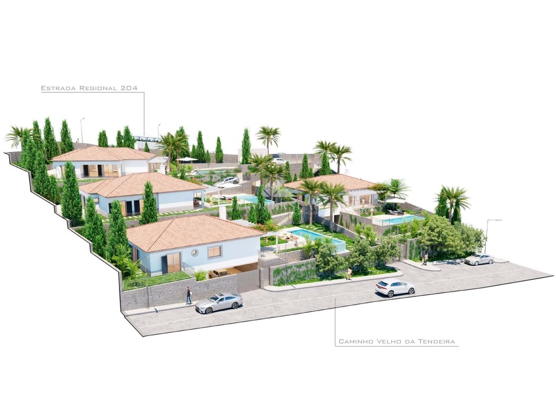 Villa in Reed, Madeira, Portugal 4 - 15988748