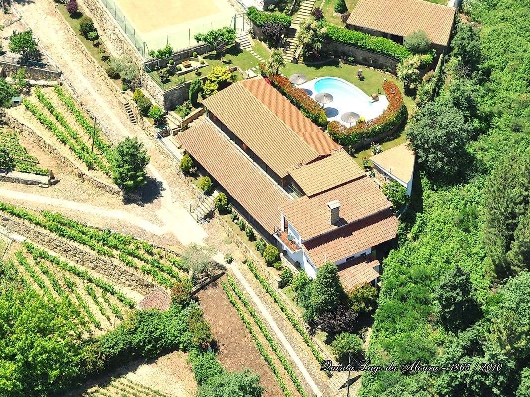 Farm Ranch in Madalena e Samaioes, Vila Real District, Portugal 3 - 17380198