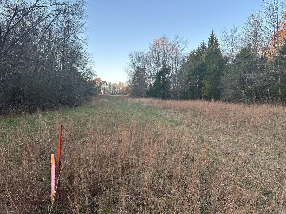 Land in Franklin, Tennessee, United States 5 - 17382528