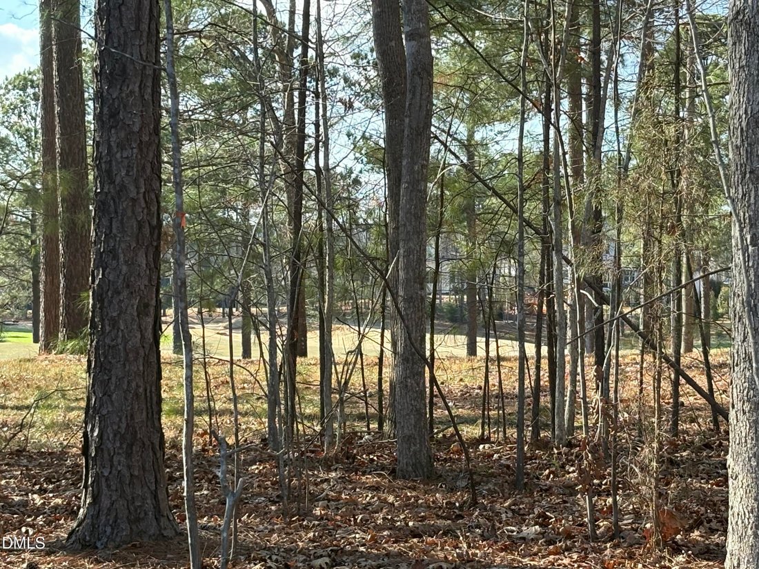 House in Pittsboro, North Carolina, United States 3 - 17383105
