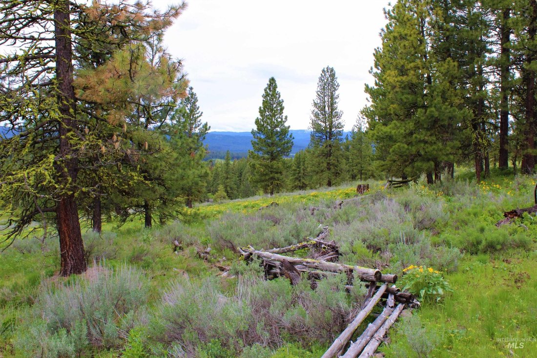 New Meadows, Idaho, United States 5 - 17382357