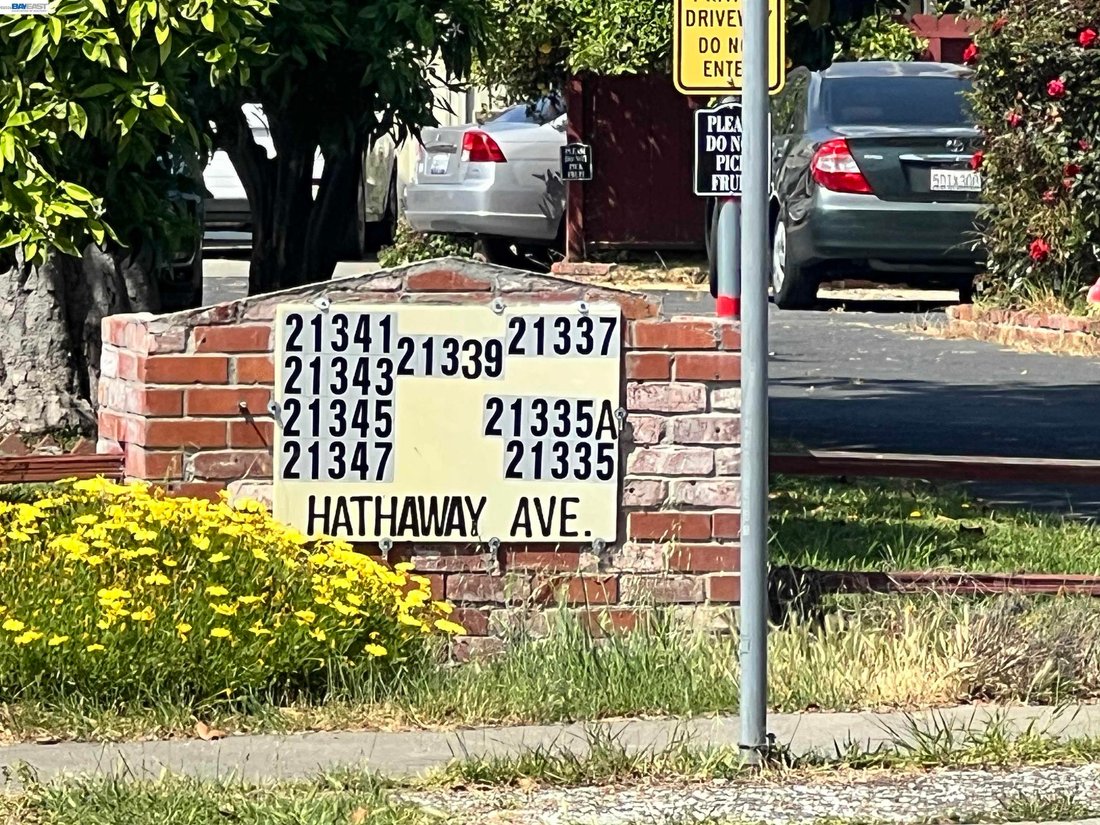 Hayward, California, United States 2 - 17382822