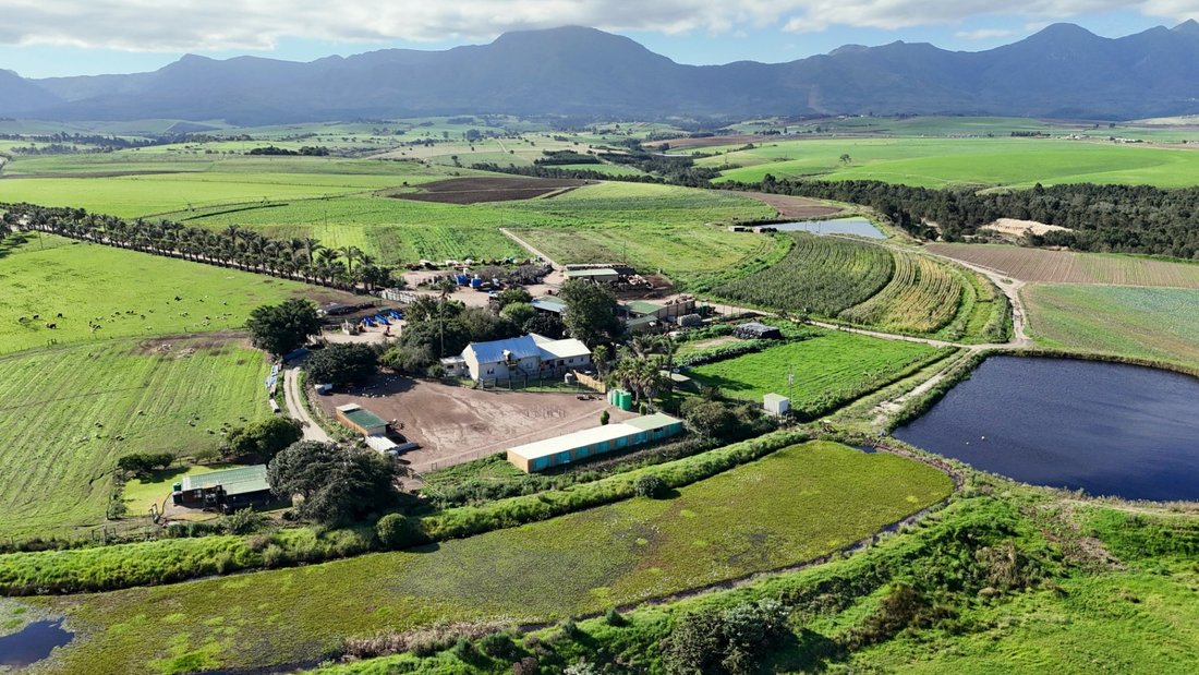 Farm Ranch in George, Western Cape, South Africa 1 - 17383723